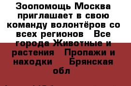 Зоопомощь.Москва приглашает в свою команду волонтёров со всех регионов - Все города Животные и растения » Пропажи и находки   . Брянская обл.